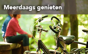 Arrangementen